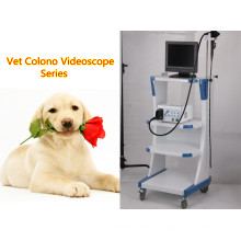 Instrumento de endoscopia veterinaria Colono Videoscope